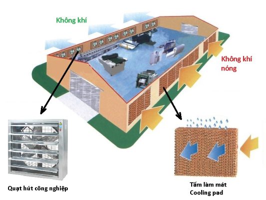 hệ thống làm mát bằng tấm làm mát IQM