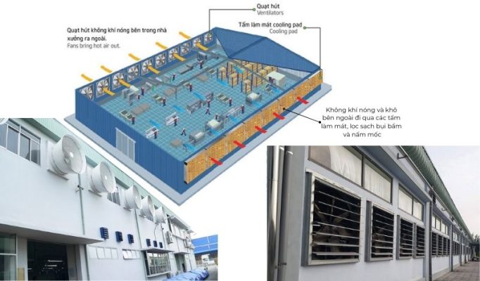 Tại Sao Nhà Xưởng Cần Hệ Thống Thông Gió?